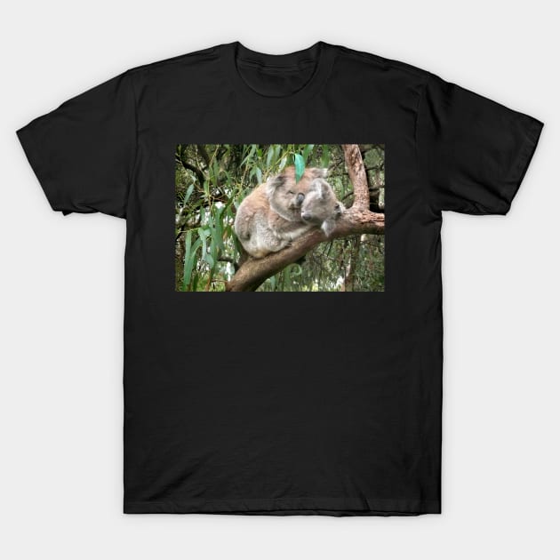 Koala bear mother and baby T-Shirt by rozmcq